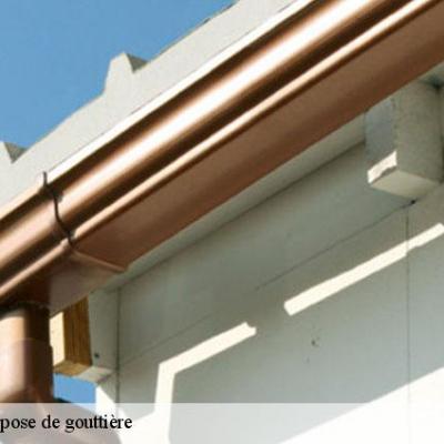 2123947 nettoyage et pose de gouttiere 9
